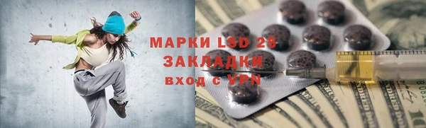 прущие грибы Березники