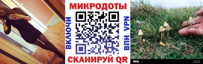 Псилоцибиновые грибы мухоморы  Шарья 
