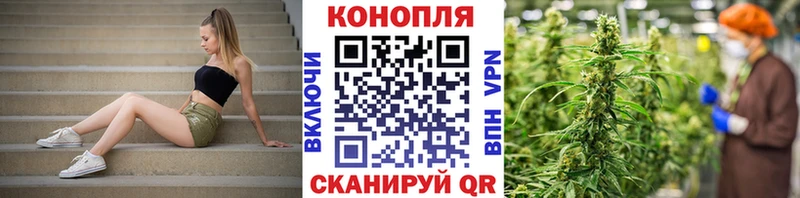 МАРИХУАНА MAZAR  как найти наркотики  Шарья 
